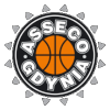 https://img.ahjuntai.com/img/basketball/team/7867484d13e764d133889a17852c3d8a.png