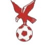 https://img.ahjuntai.com/img/football/team/4802d26df935b78bb2fcdbbff36e8864.png