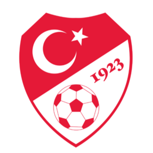 https://img.ahjuntai.com/img/football/team/6833e74cc7e961e3226632bf805e36c7.png