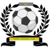 https://img.ahjuntai.com/img/football/team/6dc6d59af2f0962597b412473a6708ee.png