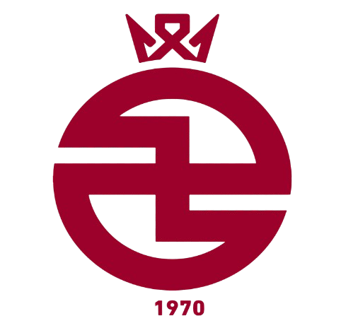 https://img.ahjuntai.com/img/football/team/9d81ea228cac35f27ff7d79078a54e36.png