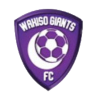 https://img.ahjuntai.com/img/football/team/c5a548d374c3bb29f1190bf670442c90.png